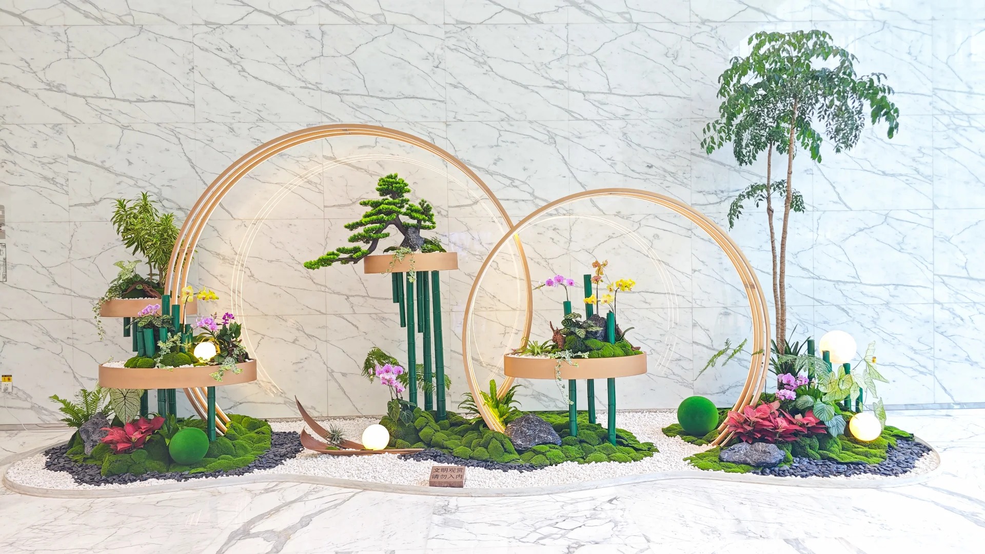 余姚盆景出租哪家专业？这里给您答案